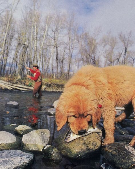 Vintage Patagonia Outfit, Patagonia Catalog, 90s Patagonia, Patagonia Style, Vintage Patagonia, Photoshoot Idea, Outdoor School, Old People, Otters