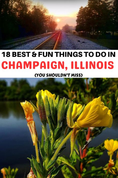 18 Best & Fun Things to do in Champaign Illinois You Shouldn’t Miss | top things to do in Champaign | unique things to do in Champaign | outdoor things to do in Champaign | amazing things to do in Champaign | places to visit in Champaign | things to see in Champaign | #bucketlist #thingstodo #roadtrip #travelbucketlist #usatravel Champagne Illinois, Urbana Champaign Illinois, Carbondale Illinois, Champaign Illinois, Aquatic Center, Kids Things To Do, Urbana Champaign, Fun Fall Activities, Centennial Park