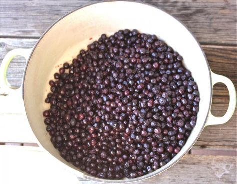 Saskatoon berry jam, a traditional Canadian recipe Fruit Guild, Saskatoon Berry Jam, Saskatoon Jam, Saskatoon Recipes, Saskatoon Berry Recipe, Saskatoon Berry Pie, Freezing Recipes, Homestead Cooking, Prairie Woman