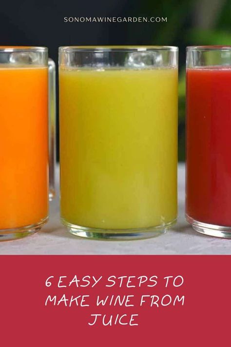 6 Easy Steps to Make Wine from Juice Making Wine From Fruit Juice, How To Make Homemade Wine, Wine From Juice, Sweet Wines For Beginners, Wine Making Recipes, Homemade Wine Recipes, Canned Juice, Homemade Alcohol, Fruity Wine