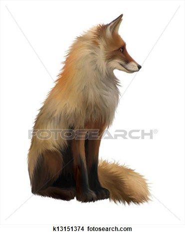 Adult fox, Side view. Sitting View Large Illustration Fox Side View, Side View Drawing, Fox Artwork, Profile Drawing, Puppy Sitting, Fox Drawing, Fox Illustration, Young Animal, Free Art Prints