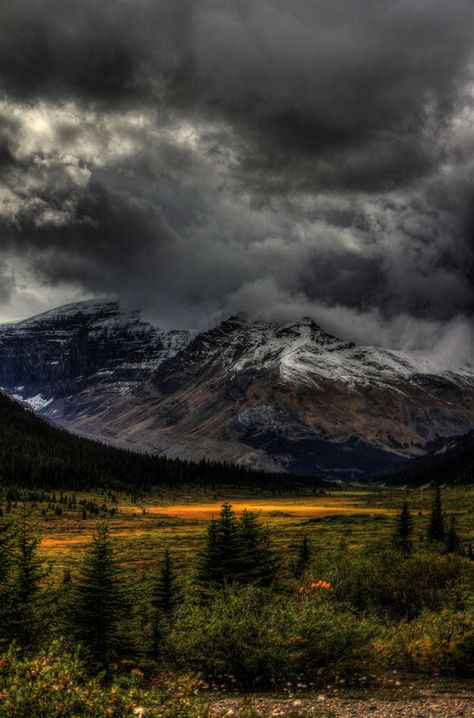 Storm Clouds, Banff, Alberta, Canada Banff Alberta Canada, Banff Alberta, Areas Verdes, Storm Clouds, Cool Landscapes, Incredible Places, Alberta Canada, Landscape Photos, Amazing Nature