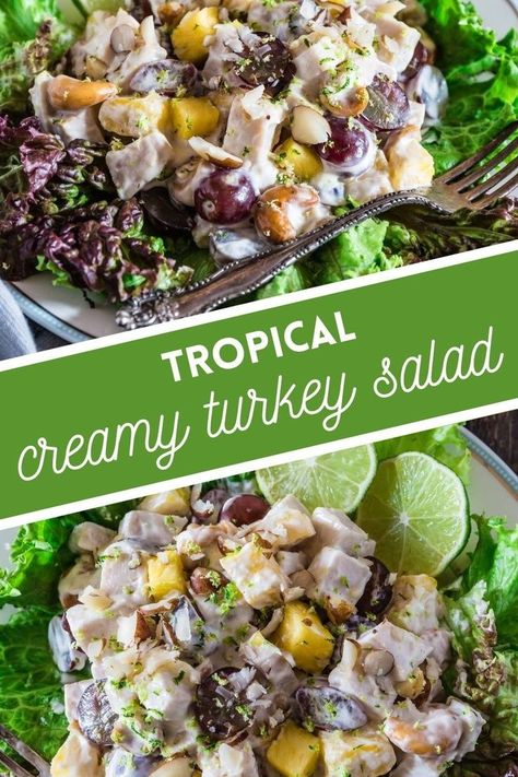 Wondering what to do with your holiday turkey leftovers? Skip the turkey sandwiches and make this Tropical Turkey Salad instead! Leftover turkey is tossed in a creamy sauce and mixed with grapes and pineapple taking your taste buds on a tropical vacation when the weather is cold! Perfect in sandwiches, salads, spread on crackers or just as is. Tropical Salad Recipes, Turkey Salad Recipe, Easy Turkey Recipes, Turkey Leftovers, Turkey Salad, Holiday Turkey, Tropical Salad, Baked Potato Recipes, Easy Turkey