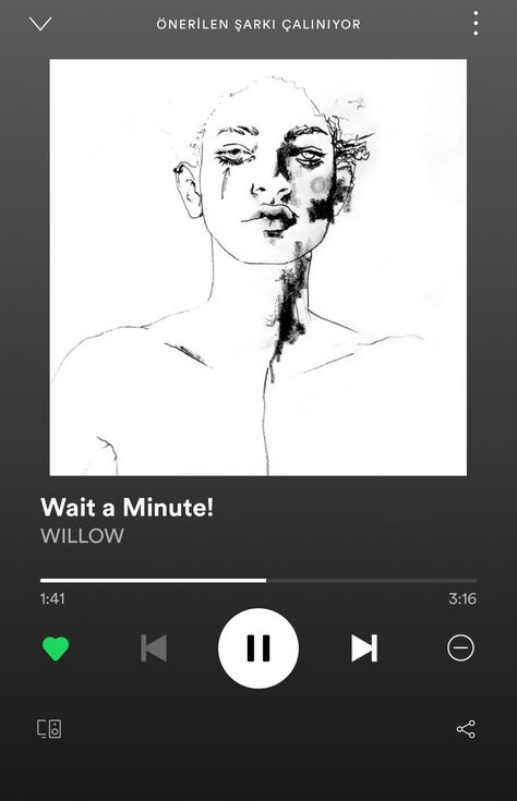 Wait A Minute Song, Willow Smith Lyrics, Wait A Minute Willow Smith, Spotify Plaque, Spotify Wallpaper, Dr Visuals, Singer Dr, Funny Chat, Wait A Minute