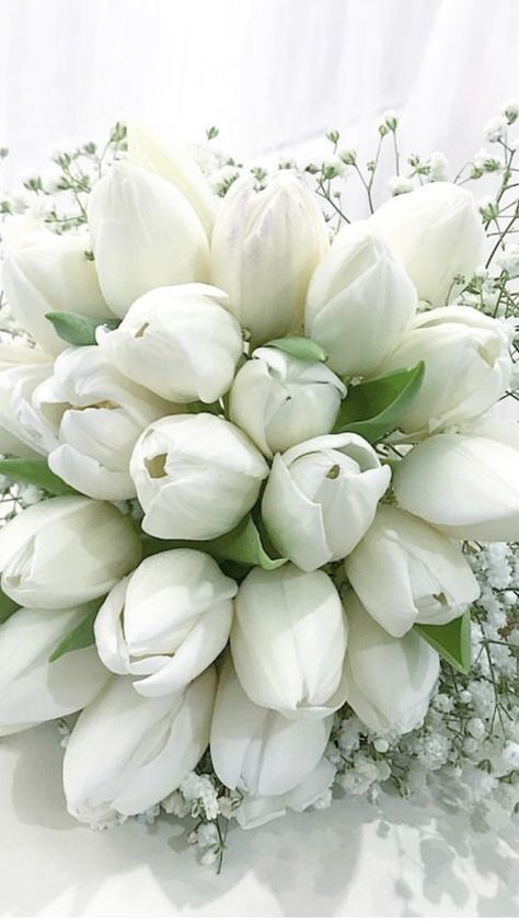 Tulips | Wedding Flowers | Flower Bouquet | Wholesale Flowers Tulips Wedding Flowers, Tulip Wedding Bouquet, Tulips Wedding, Wedding Flowers Tulips, Tulip Wedding, Dragons Breath, Bride Bouquet, Tulip Bouquet, Wedding Leaves