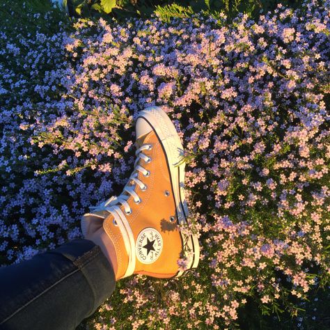 #sunflower #converse #shoe #chuck #chucktaylor #conversechucktaylor #conversesunflower #nature #flower #aesthetic #yellowaesthetic #tumblr #aesthetictumblr Nature Flower Aesthetic, Converse Sunflower, Sunflower Converse, Colored Converse, Converse Orange, Emo Aesthetic, Sunflower Colors, Playlist Covers, Aesthetic Things