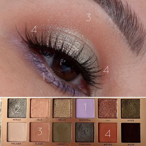 Abh Nouveau Eyeshadow Palette, Anastasia Nouveau Palette, Anastasia Beverly Hills Nouveau Looks, Abh Nouveau Look, Nouveau Palette Abh Looks, Anastasia Nouveau Palette Looks, Nouveau Palette Abh, Spring Eyeshadow Looks Brown Eyes, Spring Makeup Looks For Brown Eyes