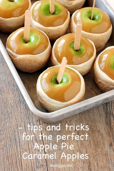 learn all the tips and trick for the perfect Apple Pie Caramel Apples | NoBiggie.net Brownie Desserts, S'mores, Muffin Tins, Think Food, Caramel Apple, Yummy Sweets, Eat Dessert, Apple Recipes, Caramel Apples