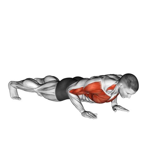 Best Chest Exercises, Chest Workout Routine, Free Workout Plans, Chest Exercises, Best Chest Workout, Push Up Workout, Plyometric Workout, Chest Muscles, Arm Muscles