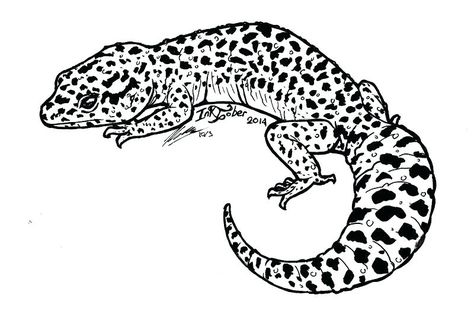 Gecko Coloring - Gecko Drawing Template Leopard Gecko Tattoo, Gecko Drawing, Halloween Movie Marathon, Gecko Tattoo, Lizard Tattoo, Tattoo Apprenticeship, Monster Coloring Pages, London Tattoo, Crested Gecko