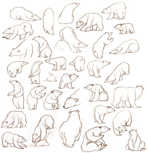 Doodles Reference, Bear Drawing Reference, Bear Simple Drawing, Simple Bear Drawing, Bear Doodles, Bear Sketches, Bear Oc, Bear Reference, Polar Bear Drawing