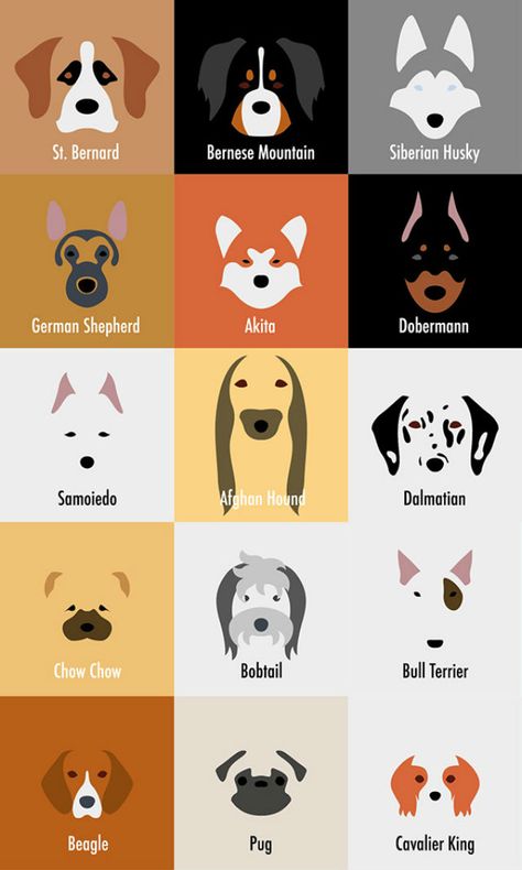 32 MORE Dog Illustrations So Spot-On Your Dog Can't Deny It Cartoon Beagle, Diamond Cartoon, Bahasa Jepun, Painting Cartoon, Logo Animal, Dog Business, Dogs Breeds, 강아지 그림, About Dogs