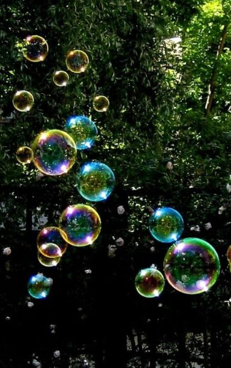 Garden Photoshoot, Bubble Wrap, Fairy Tale, Fairy Tales, Bubbles, Trees, Forest, Quick Saves, Art