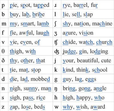 IPA consonants...for school.  Fun! Au Words Phonics, Ae Words Phonics, Ipa Consonant Chart, Phonetics English Rules, Ipa Phonetic Alphabet, English Phonetic Alphabet, Ipa Chart, Phonetics English, English Spelling Rules