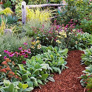 Add color to your garden from spring to fall with our water-wise favorites Perennial Flower Bed, Fall Flowers Garden, Easy Perennials, Long Blooming Perennials, Perennial Flower, Flower Bed Designs, Flower Bed Ideas, Plants Growing, Sunset Magazine