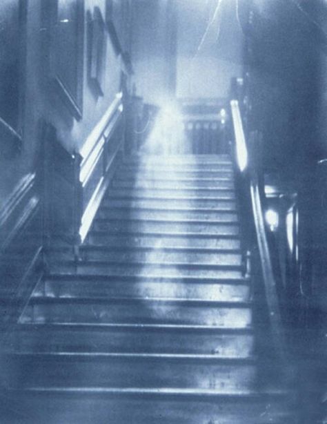 Raynham Hall, Norfolk, England. The infamous Brown Lady decends the stairs. Horror Creatures, Ghost Touch, Ghost Caught On Camera, Weeping Woman, Howleen Wolf, Short Vacation, Catty Noir, Lagoona Blue, Real Ghosts