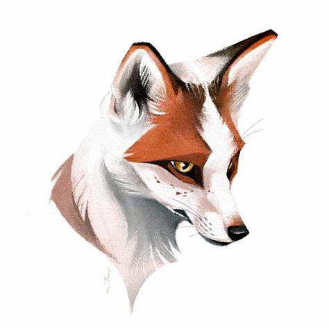 ArtStation - Notifications Fox Character, Red Marble, Canine Art, Fox Design, Fox Art, Wolf Art, Animation Design, Art Reference Photos, Cool Drawings