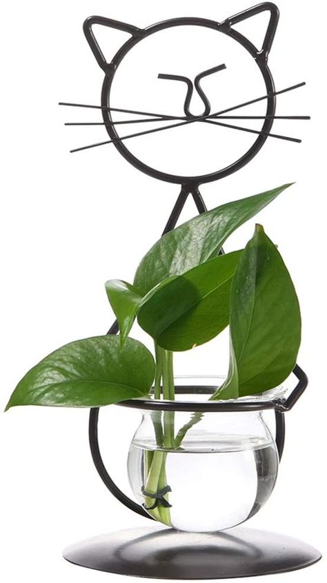 Amazon.com: Marbrasse Desktop Glass Planter Vase Holder, Modern Creative Cat Plant Terrarium Metal Stand for Hydroponics Plants Home Garden Wedding Decoration Outdoor Planter Ideas (Style 2): Home & Kitchen Wedding Decoration Outdoor, Terrarium Stand, Outdoor Planter Ideas, Bulb Vase, Vase Holder, Cat Plants, Plant Terrarium, Plants Home, Garden Wedding Decorations