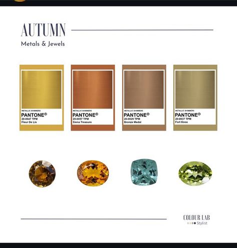 Soft Autumn Jewellery, Autumn Color Palette Fashion, Autumn Prints, Deep Autumn Color Palette, Autumn Color Palette, True Autumn, Autumn Palette, Autumn Jewelry, Warm Skin Tone