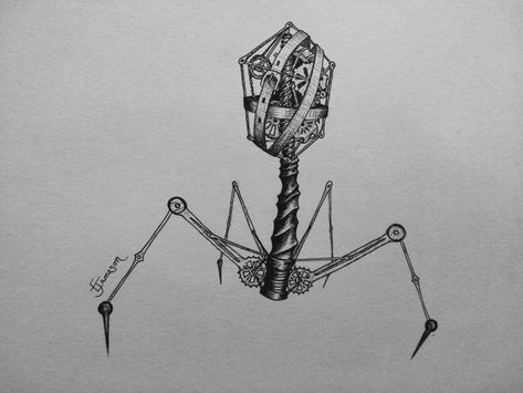 Ellie Jameson on Twitter: Day 5 #Inktober Build. Finally got round to drawing this in pen. #sciart #bacteriophage #Inktober2019 Tattoos For Scientists, Forensics Tattoo, Bacteriophage Tattoo, Bacteriophage Drawing, Microbiology Tattoo, Science Tattoos Biology, Biology Tattoo Ideas, Biology Tattoos, Virus Drawing