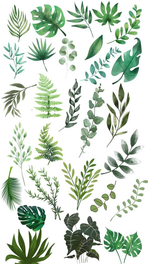 Leaves Stickers Printable, Plants Stickers, Leaves Stickers, Aesthetic Plants, Leaf Collection, Stickers Printable, Plant Aesthetic, Printable Stickers, Green Leaves