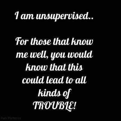 Unsupervised Unsupervised Quotes, Quotes Hilarious, Pinterest Humor, All Quotes, Badass Quotes, Describe Me, Work Humor, Perfect World, Funny Photos