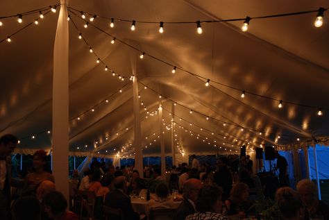 Tent Lighting Rentals, Tent Rentals | PartySavvy Hollywood Quince, Marquee Decoration, Marquee Hire, Tent Lighting, Marquee Lights, Tent Rentals, Event Tent, Cafe Lights, Tent Accessories