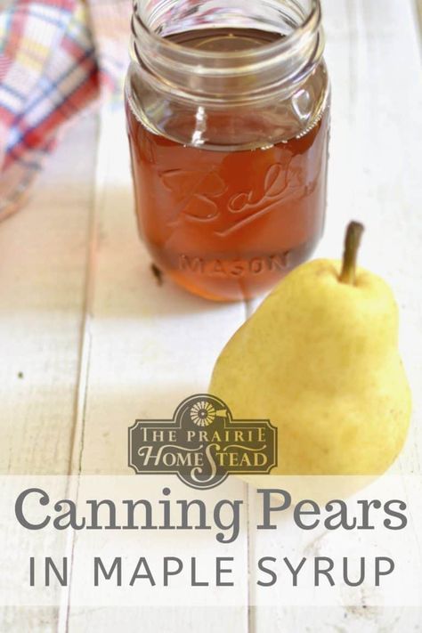 Canning Pears in Maple Syrup • The Prairie Homestead Can Cherries, Homesteading Hacks, Canning Pears, The Prairie Homestead, Homesteading Life, Amish Lifestyle, Pear Sauce, Prairie Homestead, Preserving Recipes