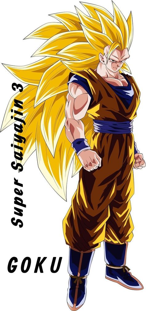 Goku Super Saiyan 3, Goku Face, Goku Ssj3, Super Saiyan 3, Goku Saiyan, Urahara Kisuke, Dragon Ball Heroes, Super Goku, Dbz Characters