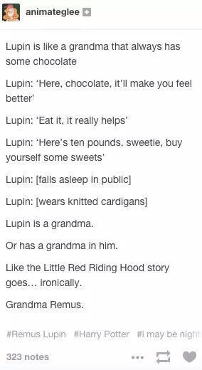 Resemblances between Lupin and a grandma. The part about Little Red Riding Hood, hahahaha! Citate Harry Potter, Glume Harry Potter, Yer A Wizard Harry, Movies Quotes, Harry Potter Headcannons, Harry Potter Jokes, Remus Lupin, Harry Potter Marauders, Harry Potter Obsession