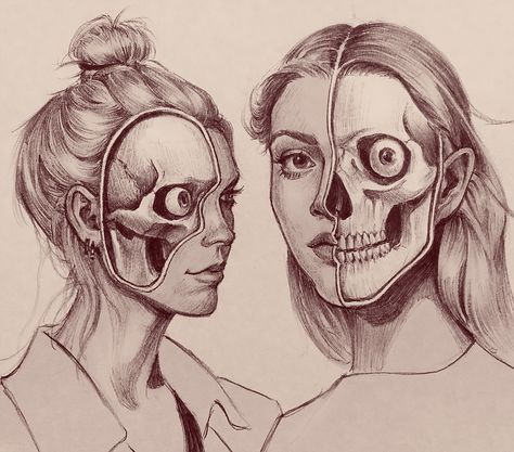 Skull studies, these were fun to do but turned out a little creepy :) Half Human Half Skull Drawing, Person Turning Around Drawing, Half Face Half Skull, Terry Bradley, Skull Studies, Neurosurgery Study, Human Skull Drawing, Drawing Fundamentals, Tattoos 2024