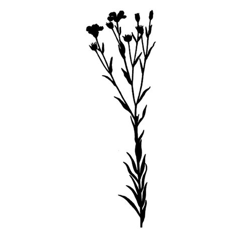 Flower Silhouette Tattoo, Herbs Image, Wildflower Tattoo, Silhouette Tattoos, Flower Silhouette, Borders Design, Drawing Inspo, Silhouette Free, Silhouette Art