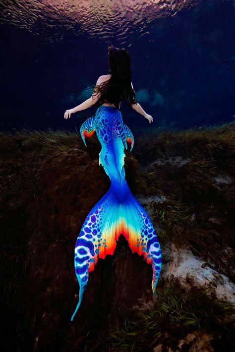 My friend and I really really wanted this tail, but I couldn't justify spending the sand dollars on it. 😔 These fabric tails keep getting more and more expensive! I would love to someday have a collab tail between Merbella and Finfolk - AKA a Finbella tail. Maybe someday! Underwater Model, Life Under The Sea, Fantasy Mermaids, Sand Dollars, Mermaid Tails, Maybe Someday, Underwater Photography, Mermaid Tail, Character Outfits