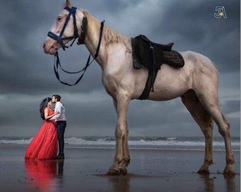 Couple Pre Wedding Photo Poses Beach, Mandvi Beach, Horse Wedding Photos, Pre Wedding Photoshoot Beach, Horse Couple, Save The Date Pictures, Couples Beach Photography, Pre Wedding Photoshoot Props, Bride Photos Poses