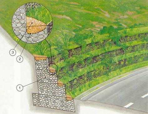 Garden Grid, Landscape Engineer, Gabion Retaining Wall, Gabion Baskets, Gabion Wall, Landscaping Retaining Walls, Landscape Elements, Natural Swimming Pool, Backyard Lighting