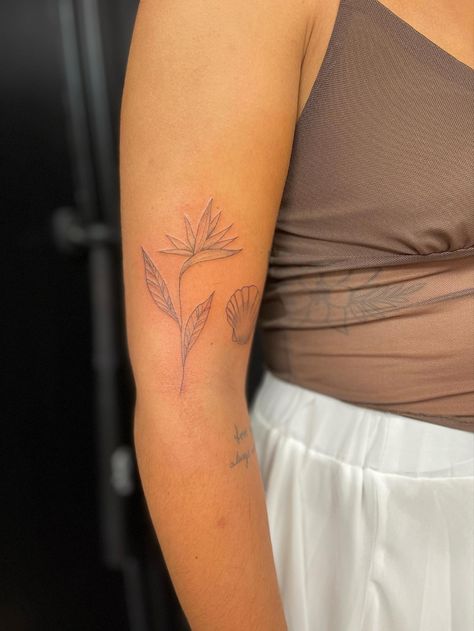 Fine Line Bird Of Paradise Tattoo, Birds Of Paradise Tattoo Sleeve, Bird Of Paradise Plant Tattoo, Guatemala Tattoo, Body Doodles, Bird Of Paradise Tattoo, Arm Quote Tattoos, Hawaii Tattoo, Colorado Tattoo