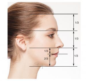 Facial proportion - Side - Rhinoplasty Rhinoplasty Nose Jobs, Facial Proportions, Face Proportions, Portrait Tutorial, 얼굴 드로잉, Drawing Tutorial Face, Facial Aesthetics, 얼굴 그리기, Human Figure Drawing