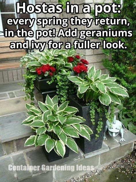 Spring Planters, Container Gardening Ideas, Oval Nail, Container Garden Design, Container Gardening Flowers, Diy Arrangements, Garden Containers, Garden Yard Ideas, Flower Bed