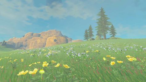 Tears Of The Kingdom Screenshots, Zelda Botw Screenshots, Botw Scenery, Zelda Room, Loz Botw, Scenic Pictures, Japanese Games, Background Drawing, Breath Of The Wild