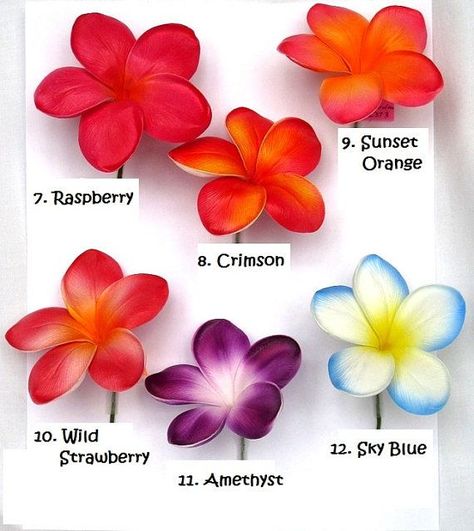 Frangipani Tattoo, Plumeria Tattoo, Hawaiian Tattoo, Flower Colors, Plumeria Flowers, Fondant Flowers, Colour Ideas, Orange Colour, Flowers Red