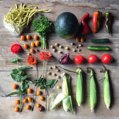 Yellow Wax Beans, Sweet Beans, Csa Farm, Chicken Bacon Ranch Pizza, Csa Box, Wax Beans, Vegetable Shop, Landscape Inspiration, Pickle Butter