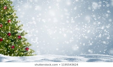 Blurred Christmas Tree Snow Christmas Background Stock Photo (Edit Now) 746125873 Blurred Christmas Tree, Advertising Space, Christmas Landscape, Greetings Images, Snowy Landscape, Landscape Beautiful, Silver Background, Winter Background, Beautiful Christmas Trees