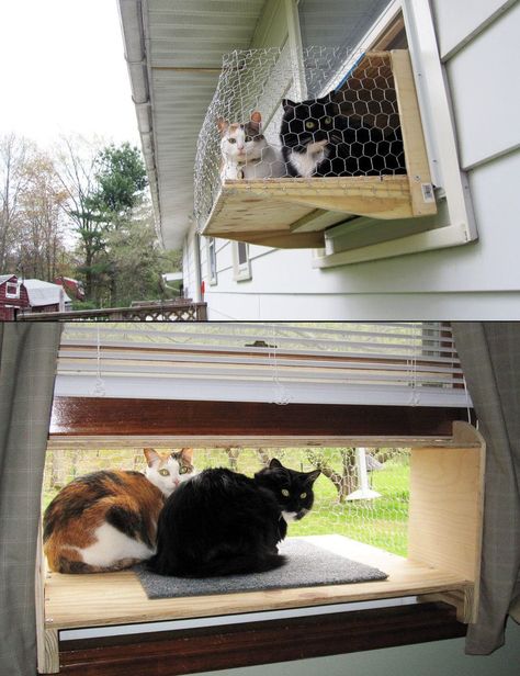 Diy Cat Window Perch, Diy Cat Window, Katt Diy, Cat Fence, Cat Window Perch, Cat Patio, Window Perch, Outdoor Cat Enclosure, Cat House Diy