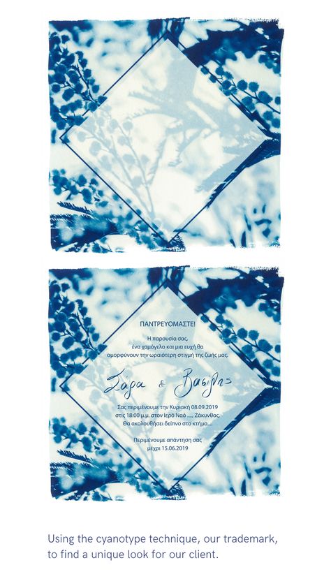 Cyanotype Invitation, Feather Cyanotype, Seaweed Cyanotype, Botanical Cyanotype, Large Scale Cyanotype, Video Photography, Adobe Lightroom, Wedding Stationery, Wedding Invitations