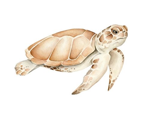 Baby Boys Nursery, Turtle Illustration, Sea Turtle Watercolor, Turtle Watercolor, Coral Watercolor, Animal Wall Art Nursery, Underwater Animals, Baby Illustration, Boys Nursery