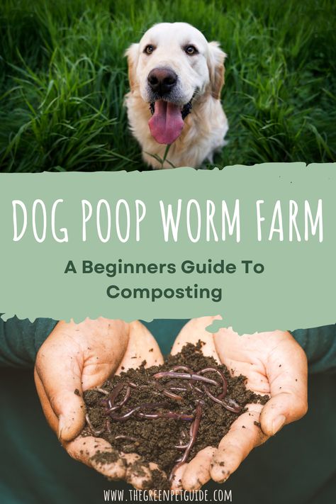 Dog Poop Disposal Backyard, Dog Waste Composter, Dog Run Side Yard, Dog Waste Disposal, Start Composting, Dog Friendly Backyard, Worm Farming, Sustainable Homestead, Chicken Poop