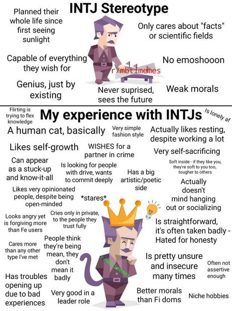 Intj Stereotype Vs Reality, Intj Personality Traits, Intj Vibes, Entp And Intj, Intj Characters, Intj Humor, Personalidad Enfp, Intj Enfp, 16 Personality Types