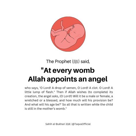 Angels In Islam, Mother In Islam, Trust Allah Quotes, Islam Education, Islamic Journal, Quotes From Quran, Quran Hadees, Prophet Muhammad Quotes, Islamic Page