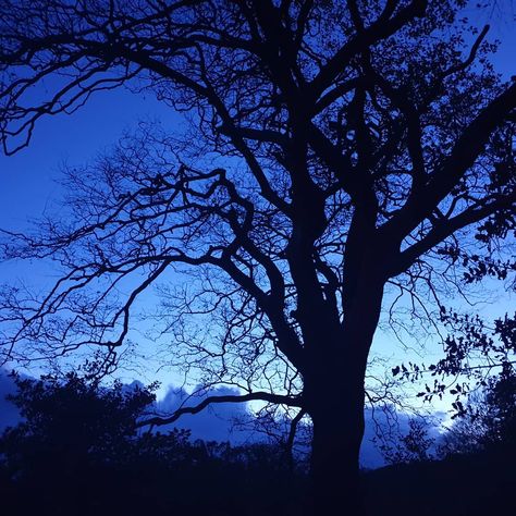 ONeil’s Instagram profile post: “Ultramarine-blue evening light. #woottonfitzpaine #charmouth #silhouette #eveninglight #enchanting #blueultramarine #dorsetsky #dorset” Ultramarine Blue Aesthetic, Ultramarine Blue, Evening Light, Blue Aesthetic, Blue Eyes, The Dreamers, Beautiful Places, Instagram Profile, Wall