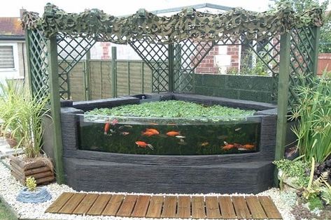 Above Ground Fish Pond Designs – redboth.com Raised Pond Ideas, Outdoor Aquarium, Outdoor Fish Tank, Above Ground Pond, Raised Pond, Swimming Pool Pond, Kolam Air, Fish Pond Gardens, Kolam Koi